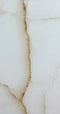 Oxide Brown 12X24 Wall And Floor Tile